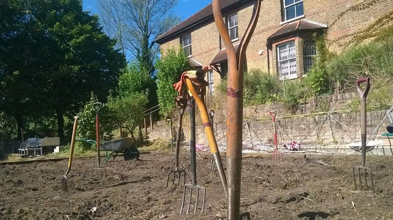Woodpecker Hollow at Horsenden Farm, outdoor rustic venue for gardening workshops.