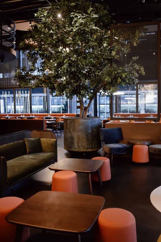 Elysium Lounge