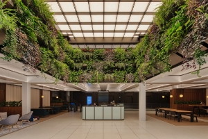 Modern Ridley Meeting Room with greenery in HubHub for events and gatherings.