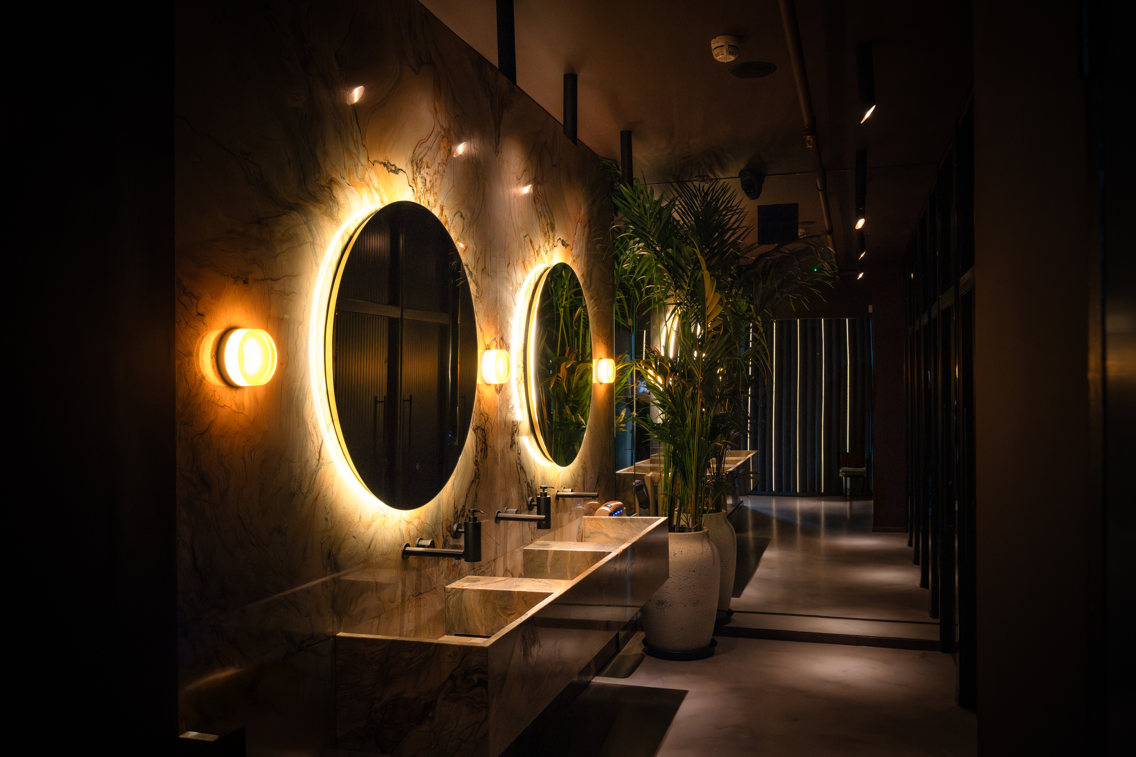 Iris Hall - rmlrkxgh4e2.jpg