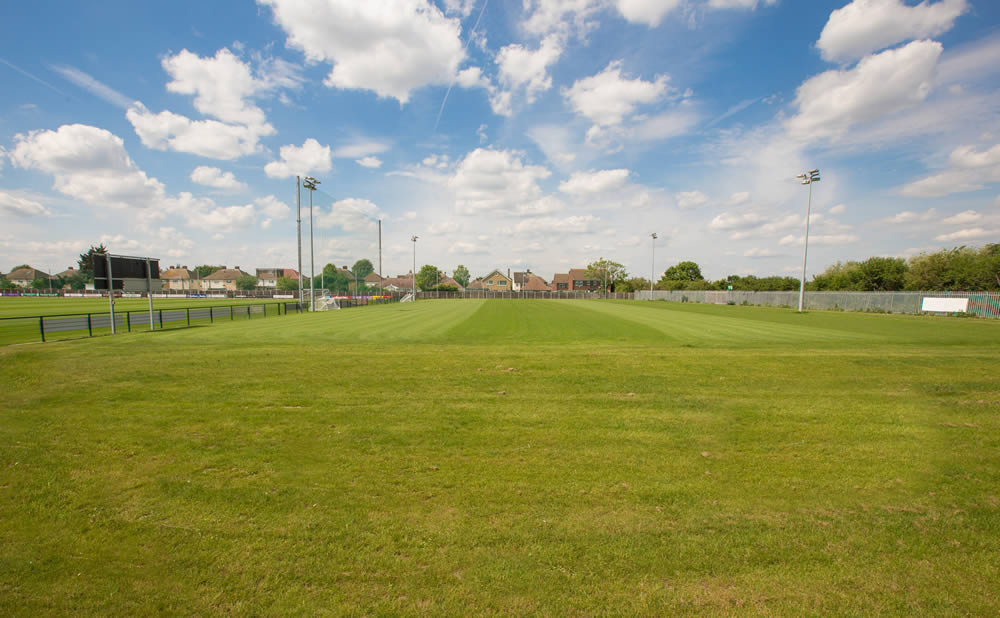 Outdoor Grass Area - 3vfm3ckgx04.png