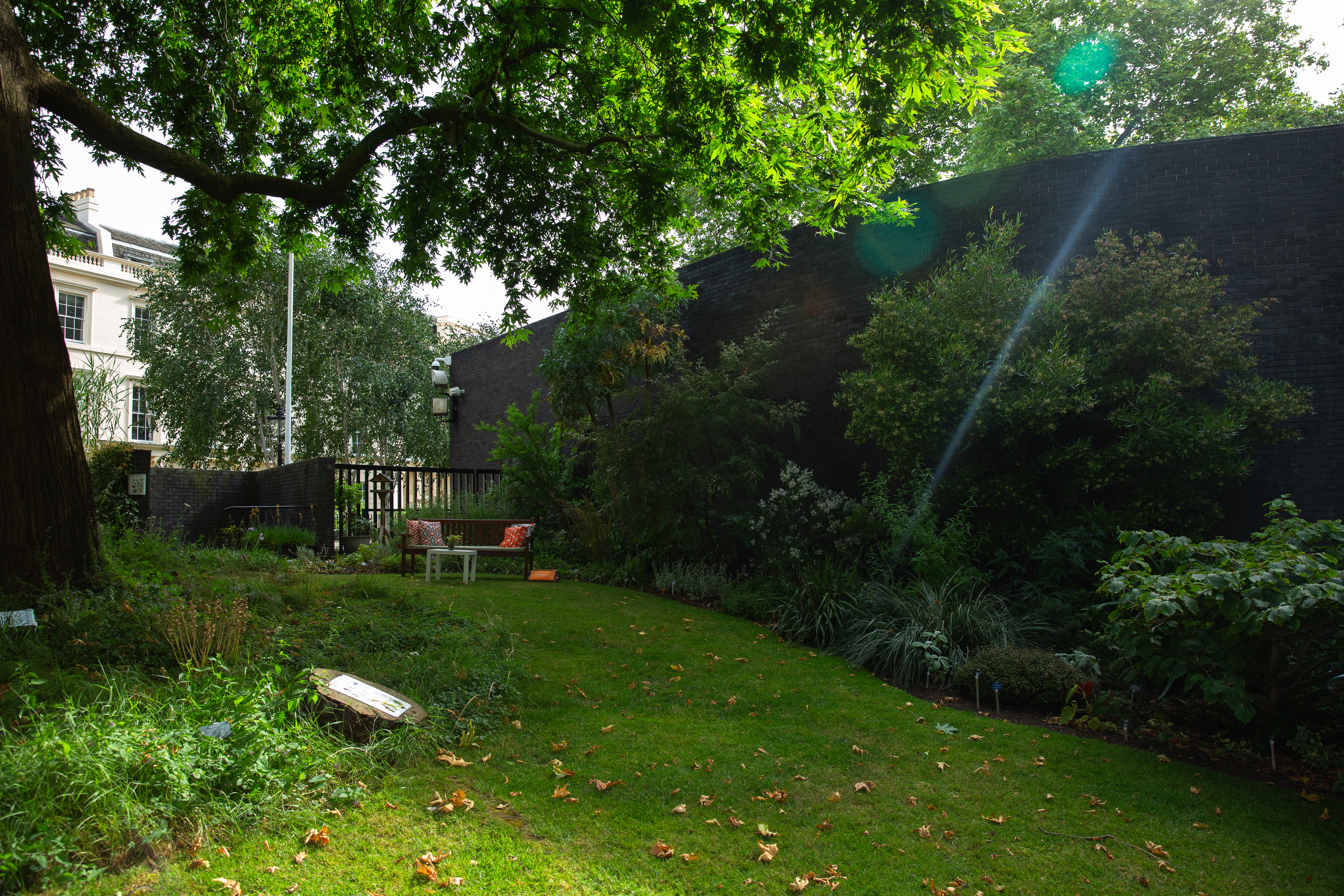 Medicinal Garden at RCP London: serene outdoor venue for gatherings and networking events.