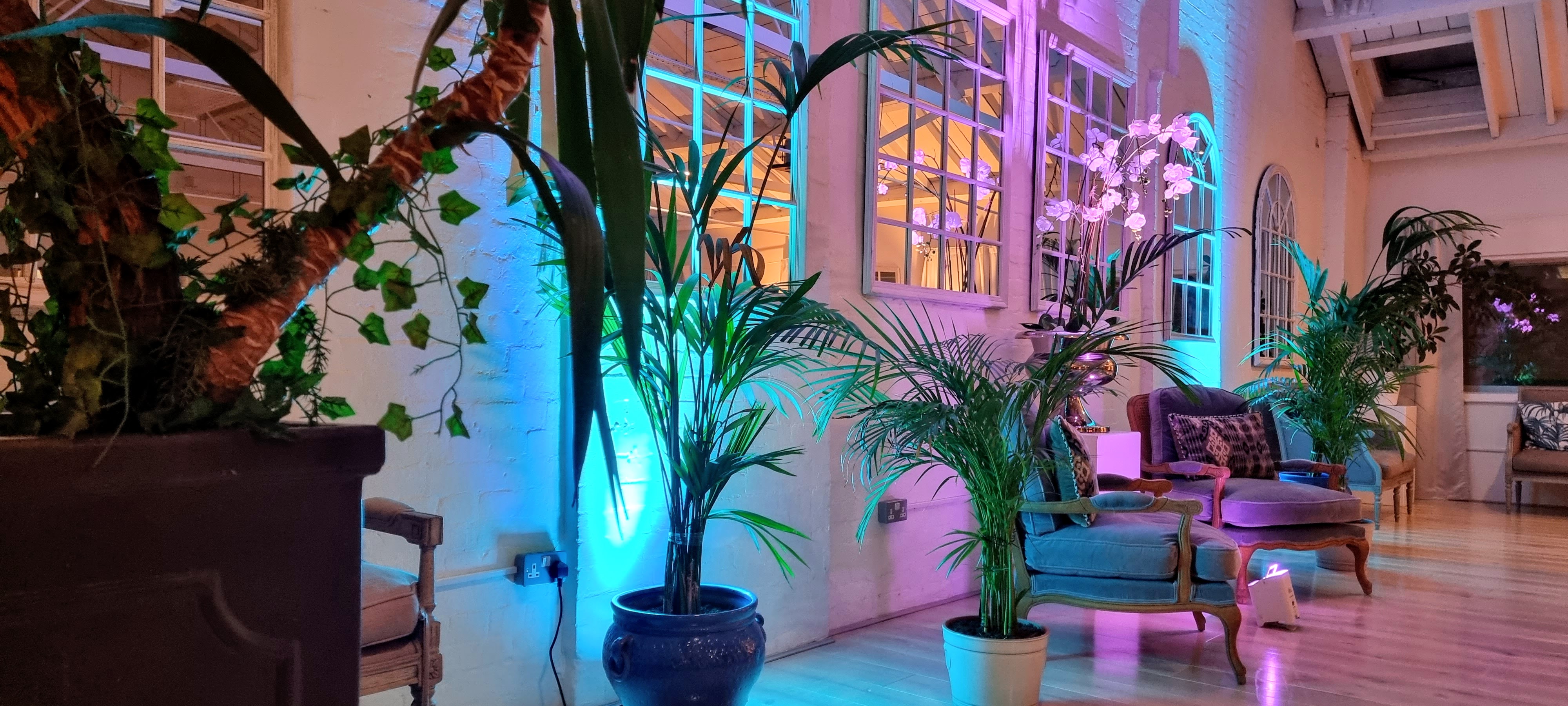 Elegant event space with lush greenery and ambient lighting for gatherings and networking.