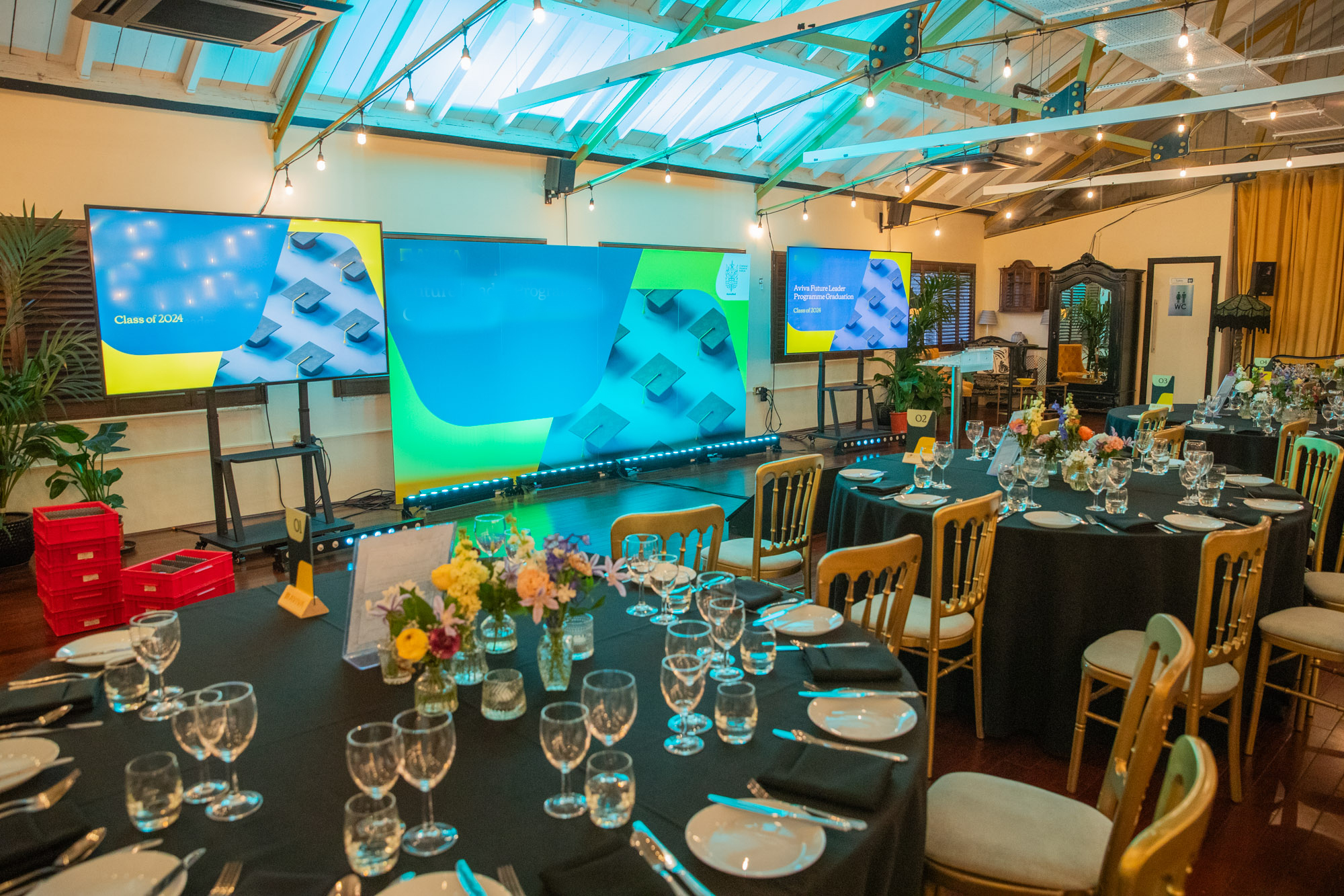 Lumiere Underwood - image 1