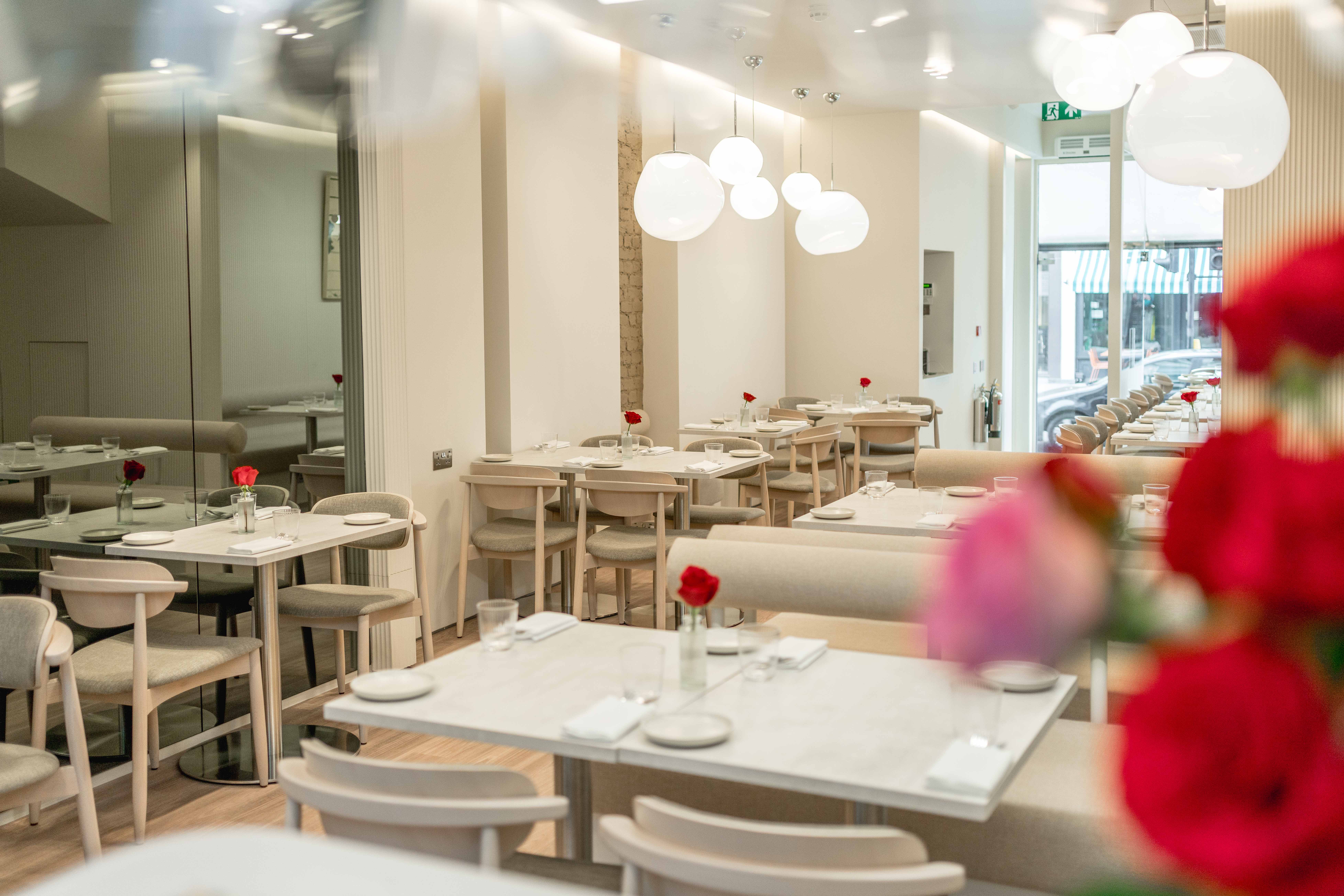 Restaurant - 2ltk3wttwoz.jpg