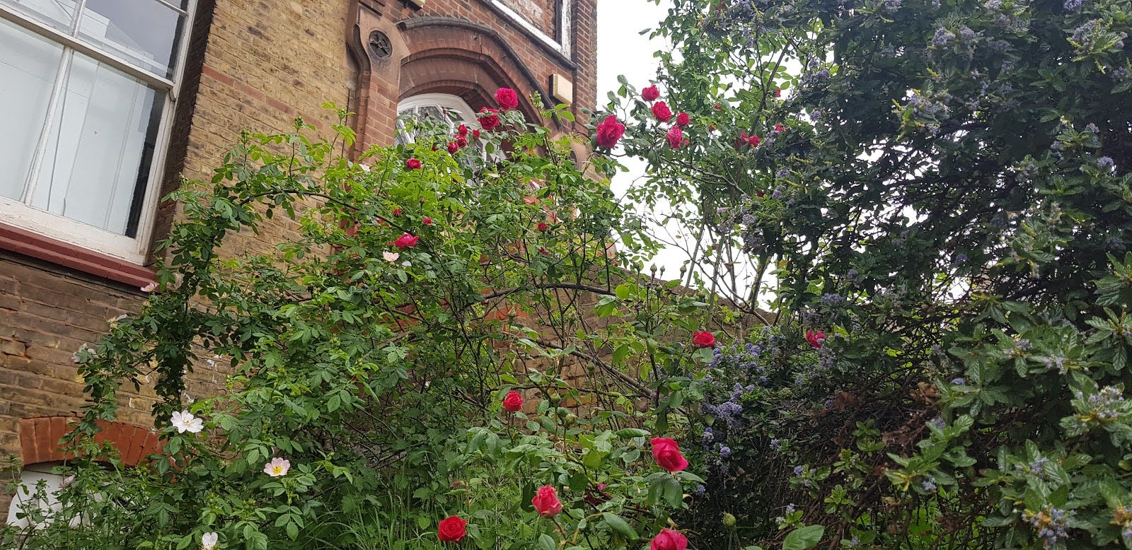 Kindred Studios - >Kindred Studios</a>