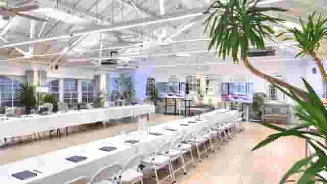 The New White Loft and the Studio