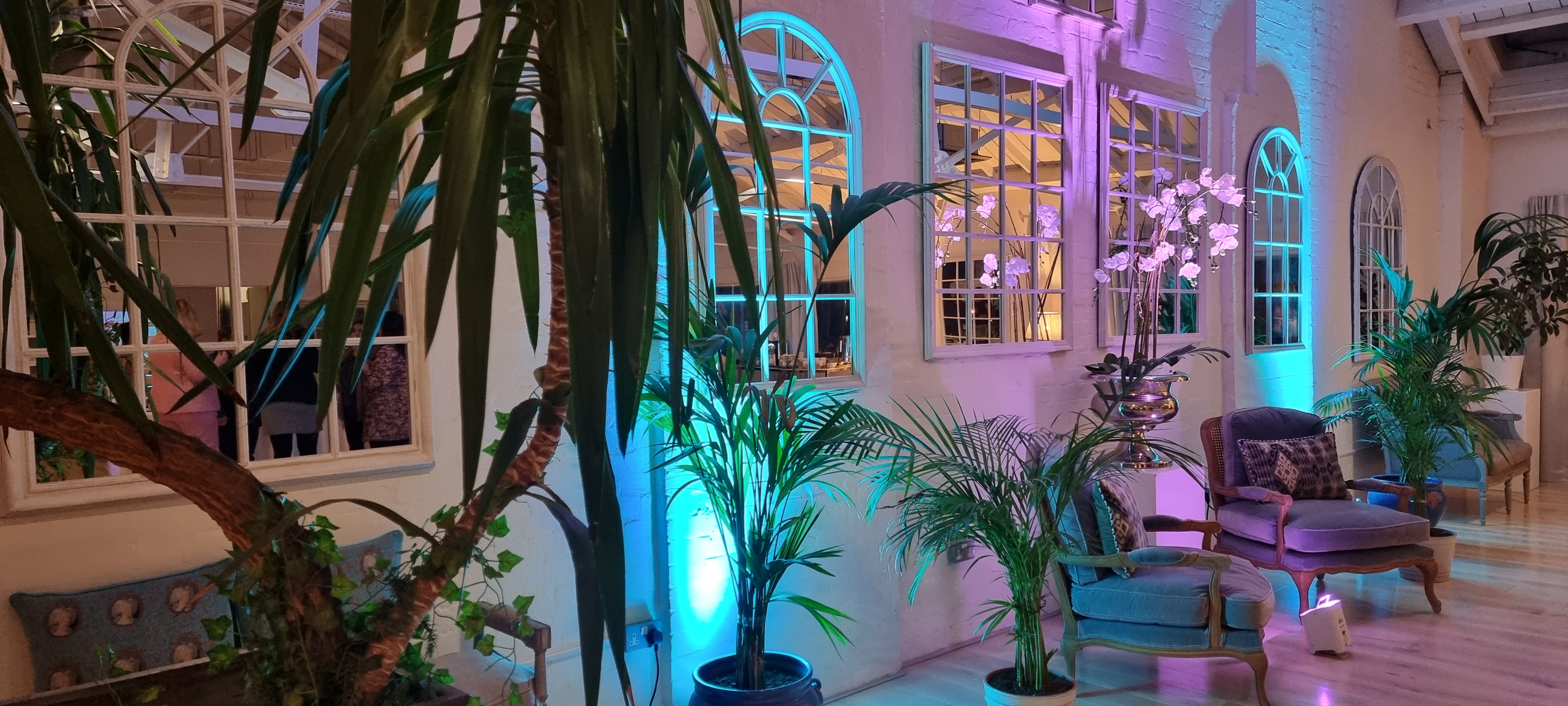 Lumiere Underwood - image 3