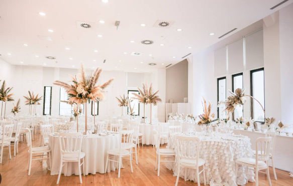 Liver Suite - 4pah3v2plpu.png