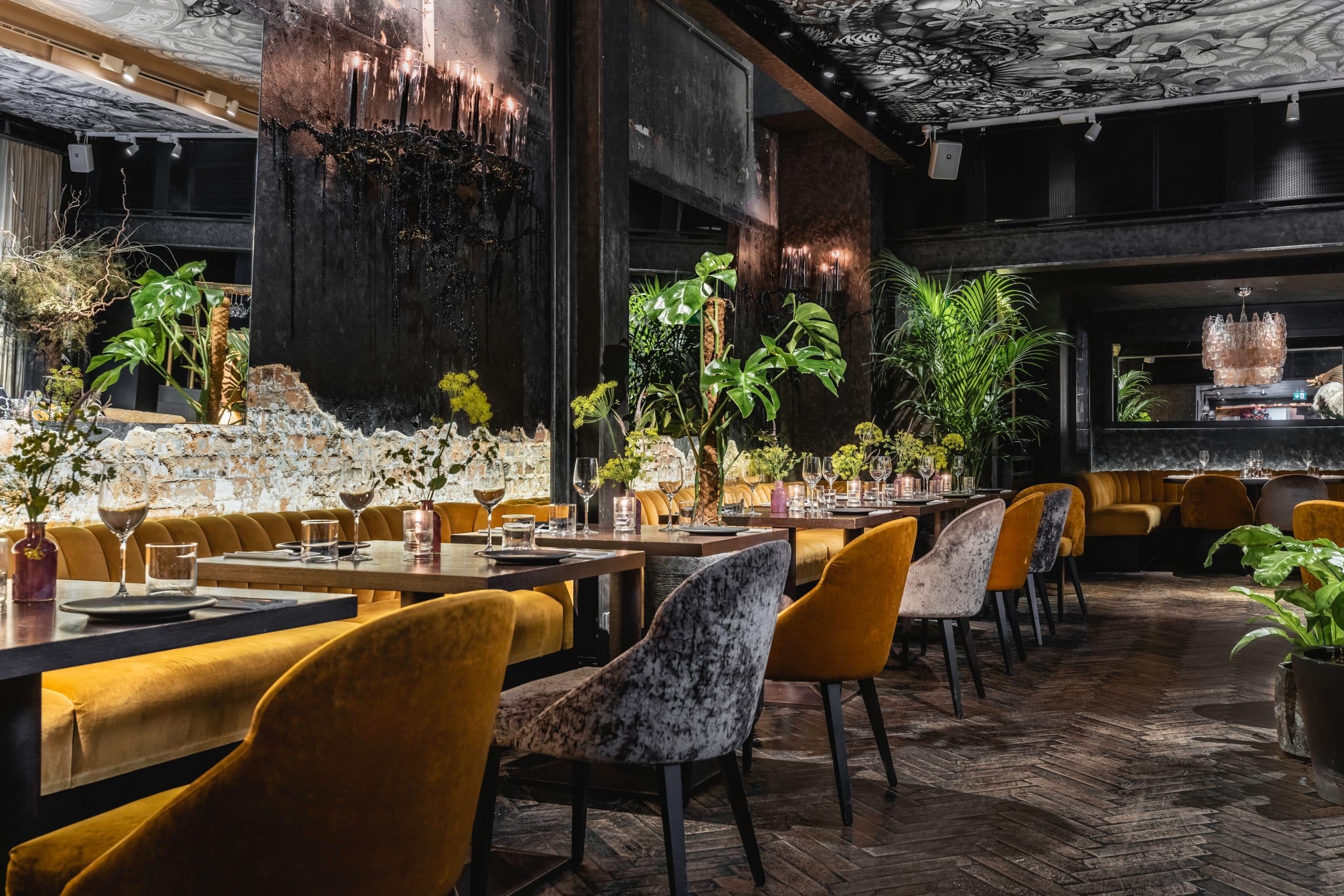 The Mandrake - image 1