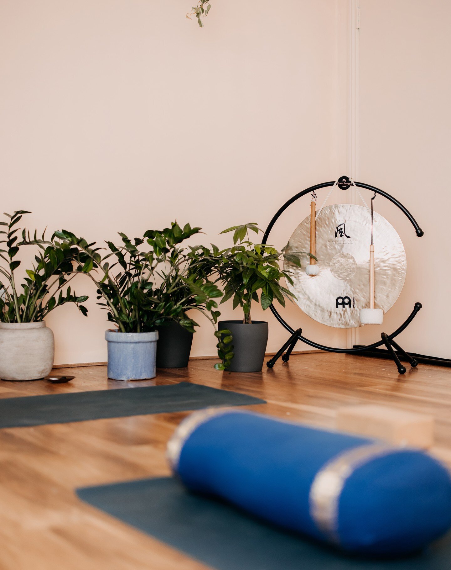 FOLD Yoga | Fresh, judgement-free yoga ...