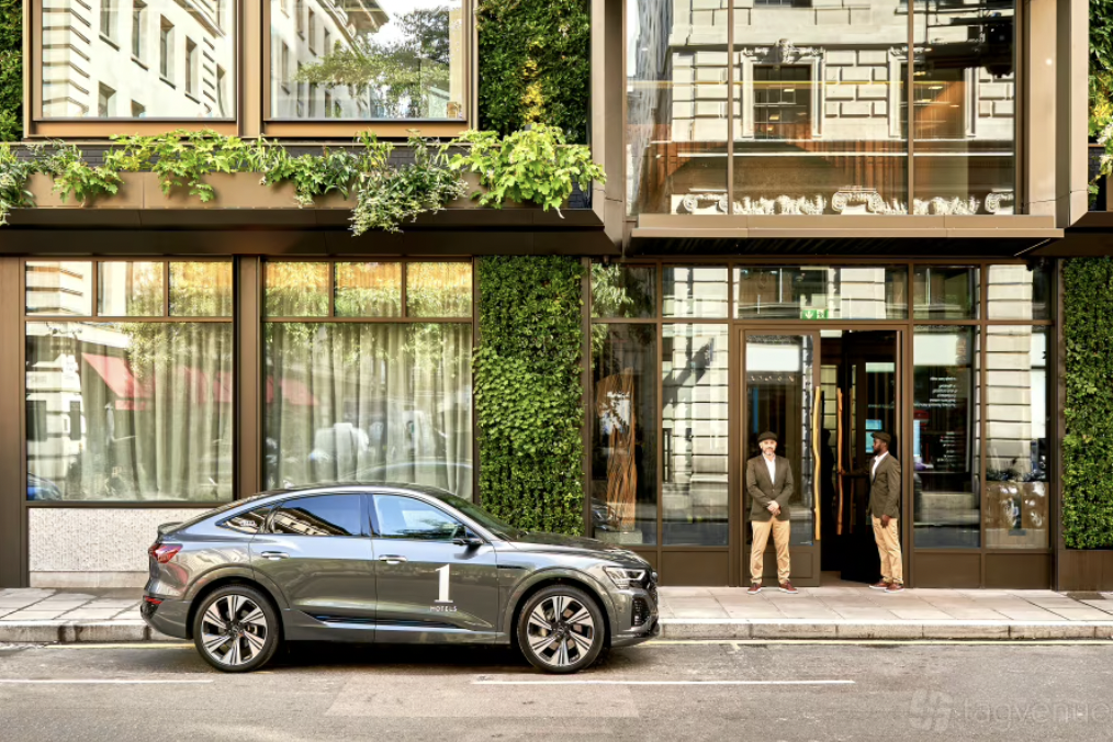 Foxtail - 8281d18f-0e51-4c03-973a-d899605affc7.png