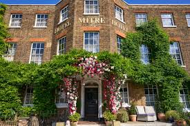 The Orangery - h0rl1p1swjp.jpeg