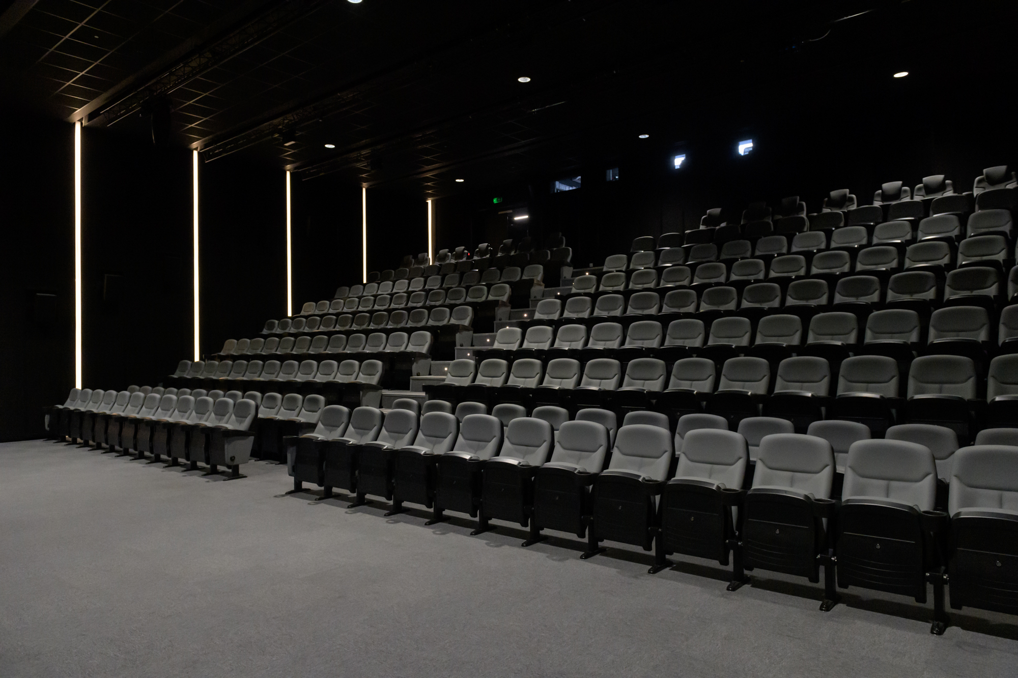 Modern auditorium with tiered seating at Riverside Studios for conferences and screenings.