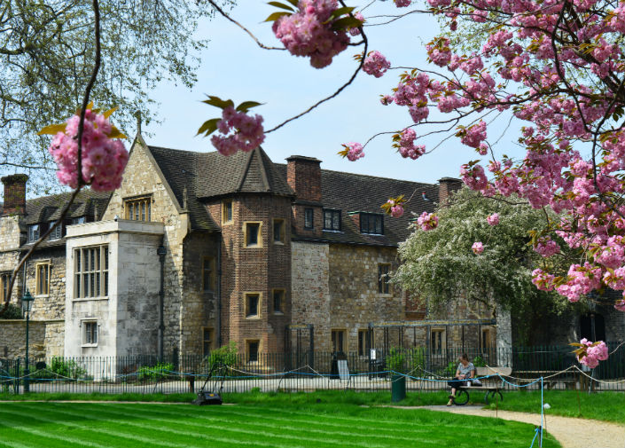 Charming historical venue for summer parties with cherry blossoms in Charterhouse Square.