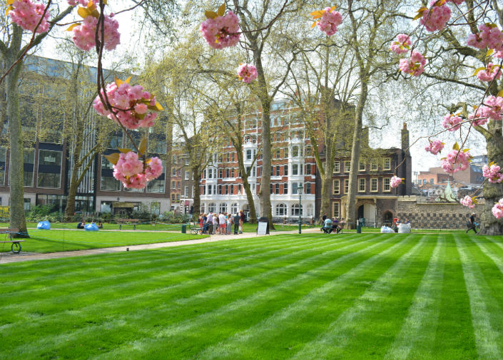 Vibrant outdoor venue with blooming trees for summer parties and corporate events.