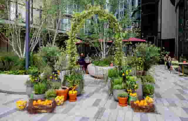 Tozi Terrace