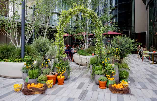 Tozi Terrace