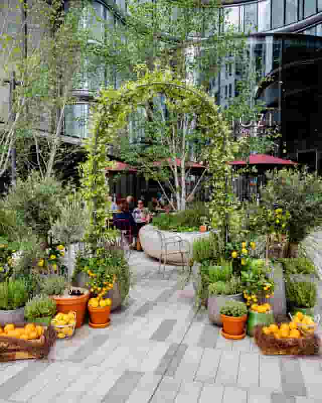 Tozi Terrace