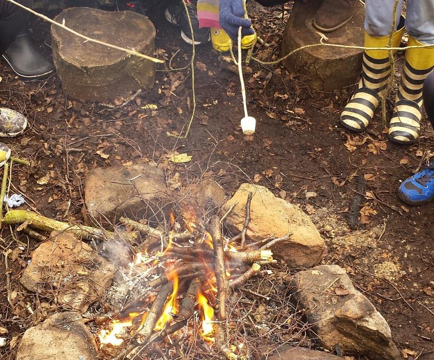 CHESHIRE BUSHCRAFT (Sandiway) - All You ...