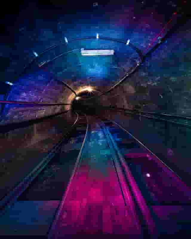 Shoot in the Tunnels