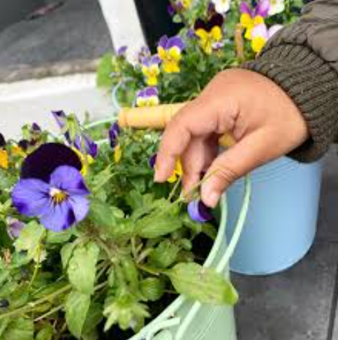 Whole venue - nq3lyhrzs0t.png