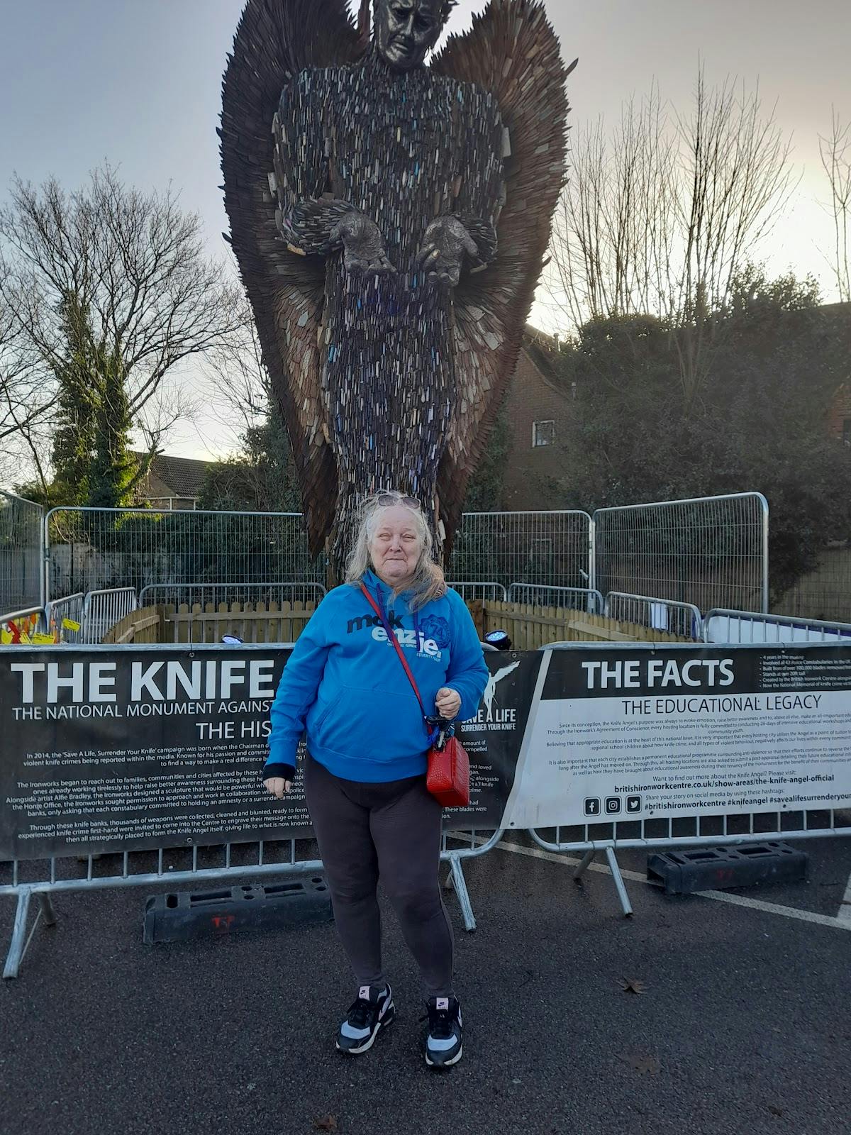 Arbour Park Stadium - >diane bunting</a>