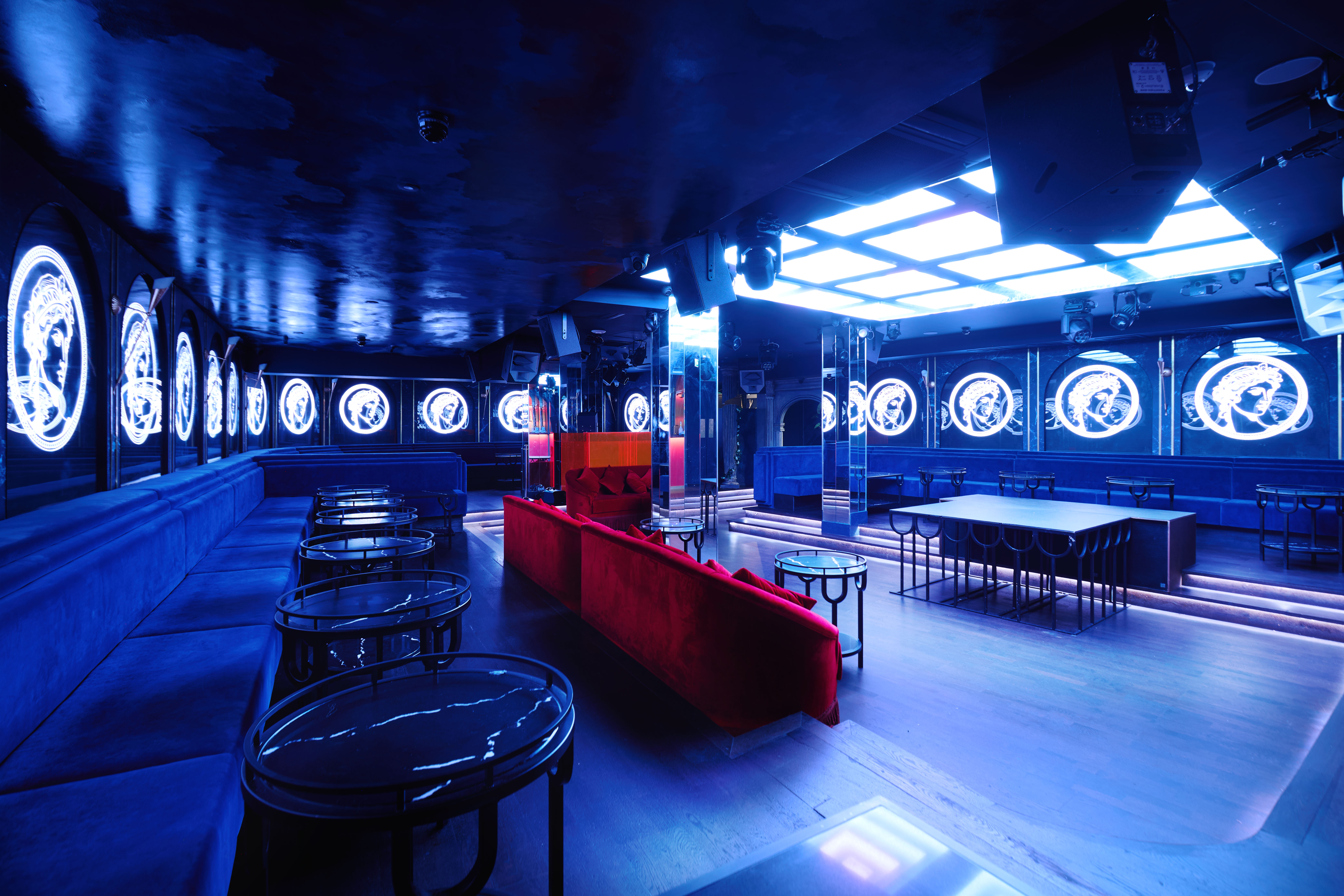 Selene - koci2badg5o.jpg