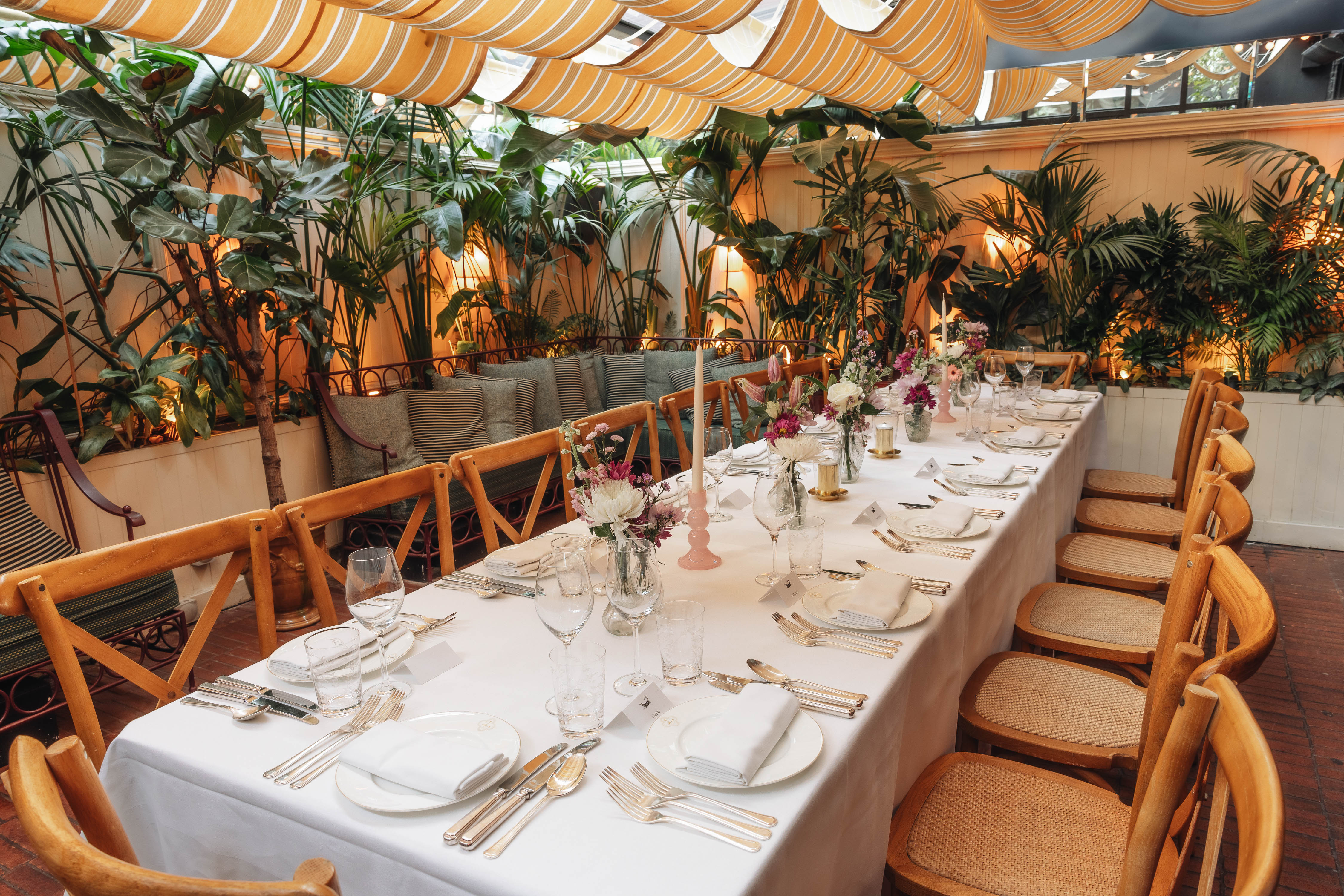 Terrace - 819d2555-60f3-4771-af8d-608c58940fe4.jpg