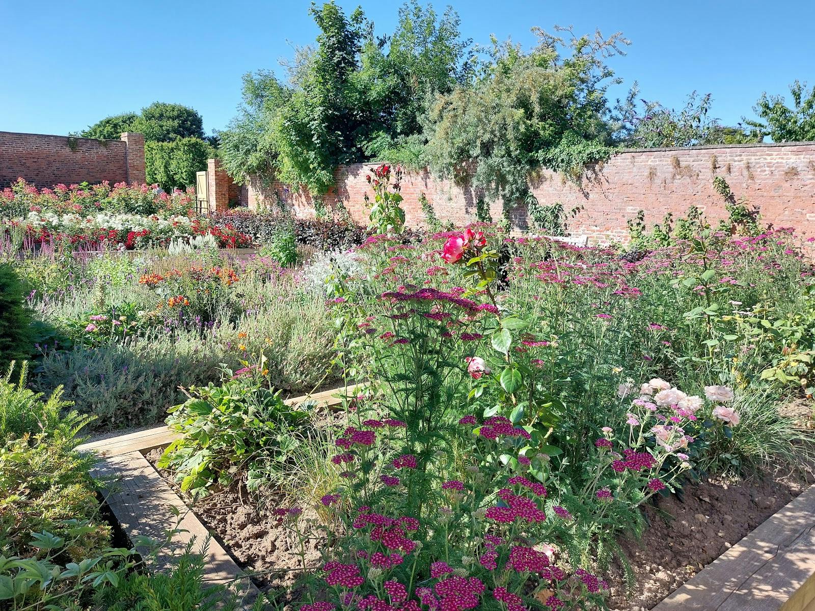 Kirkleatham Walled Garden - >Photos Only as G Maps deletes reviews</a>