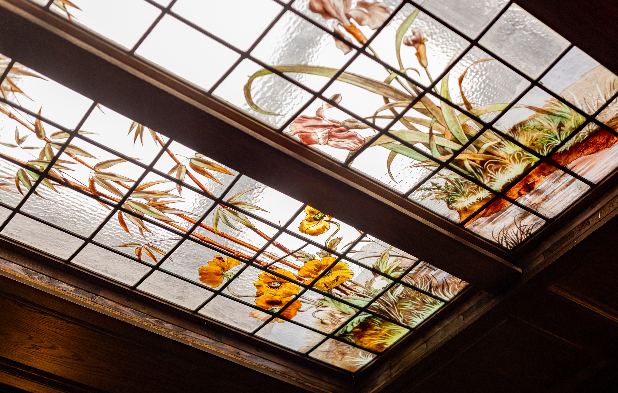 The Playroom - urzde1jhjtj.jpg