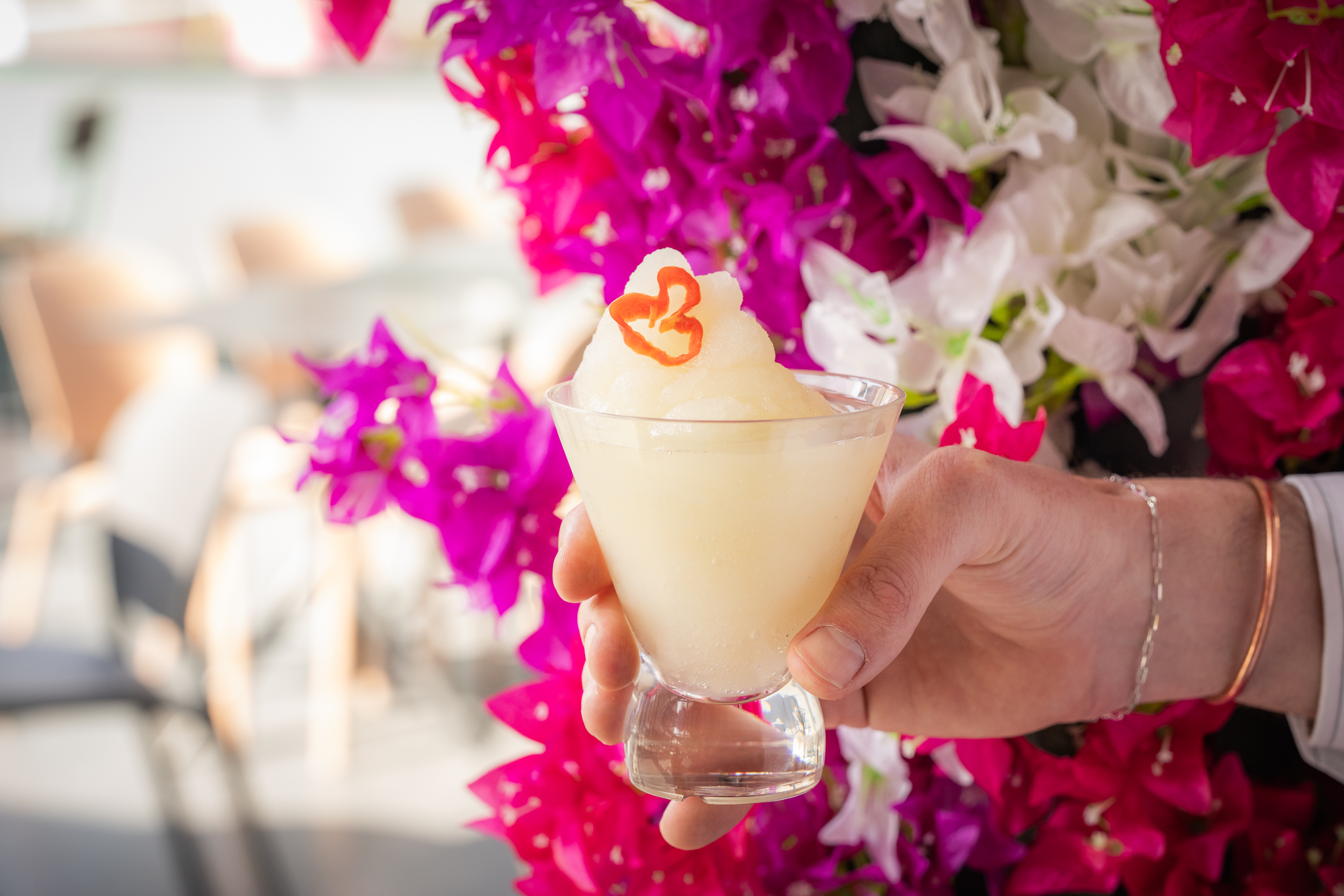 The Bird of Paradise Bar - gmmrmvedfnw.jpg