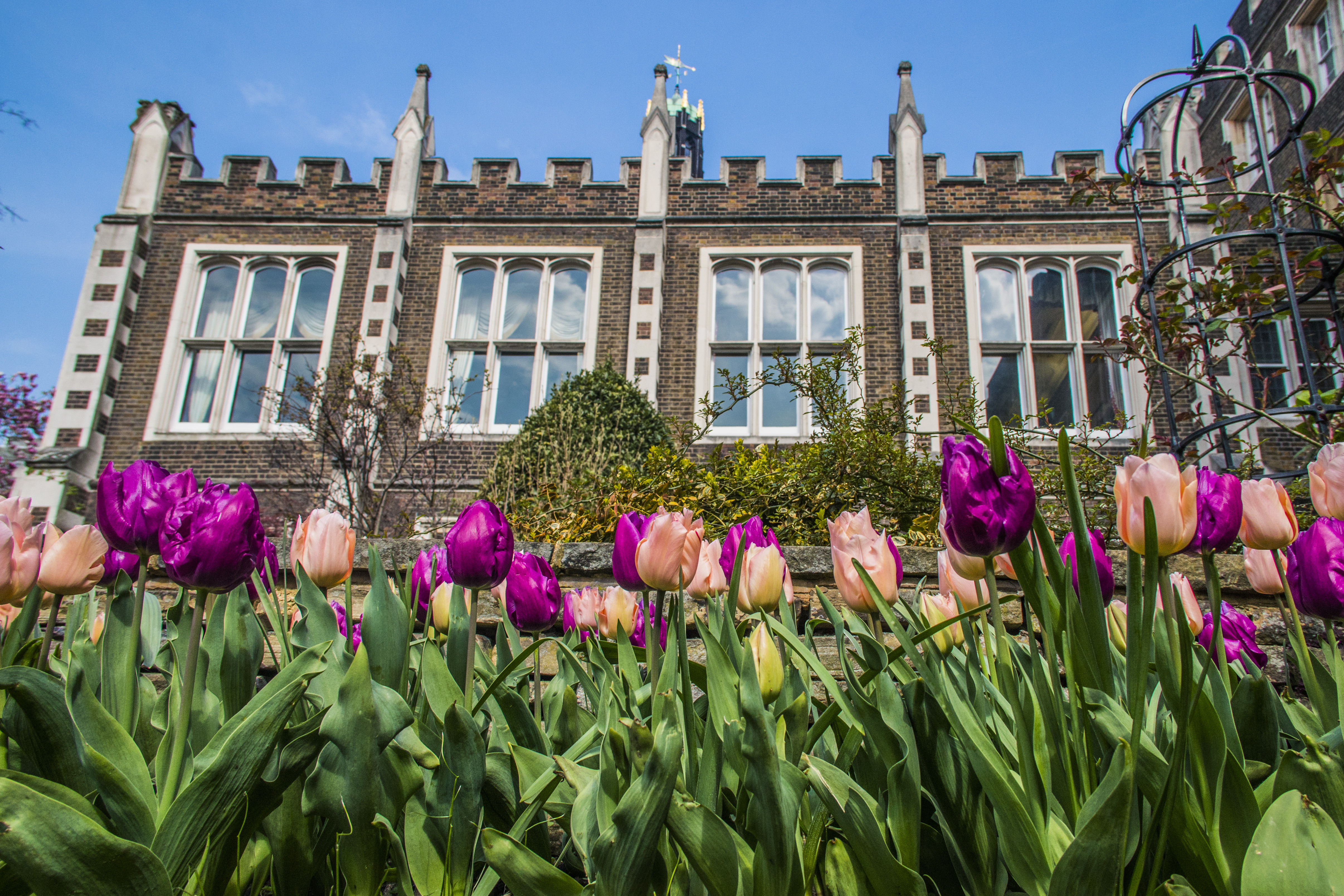 Lawns and Gardens - 1l1gfpcikty.jpg