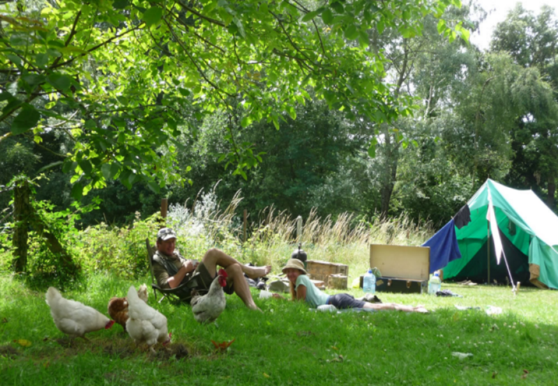 Monkton Wyld Court - image 1