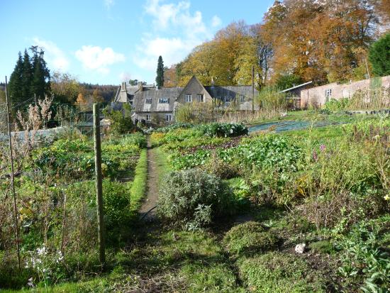 Monkton Wyld Court, Charmouth -