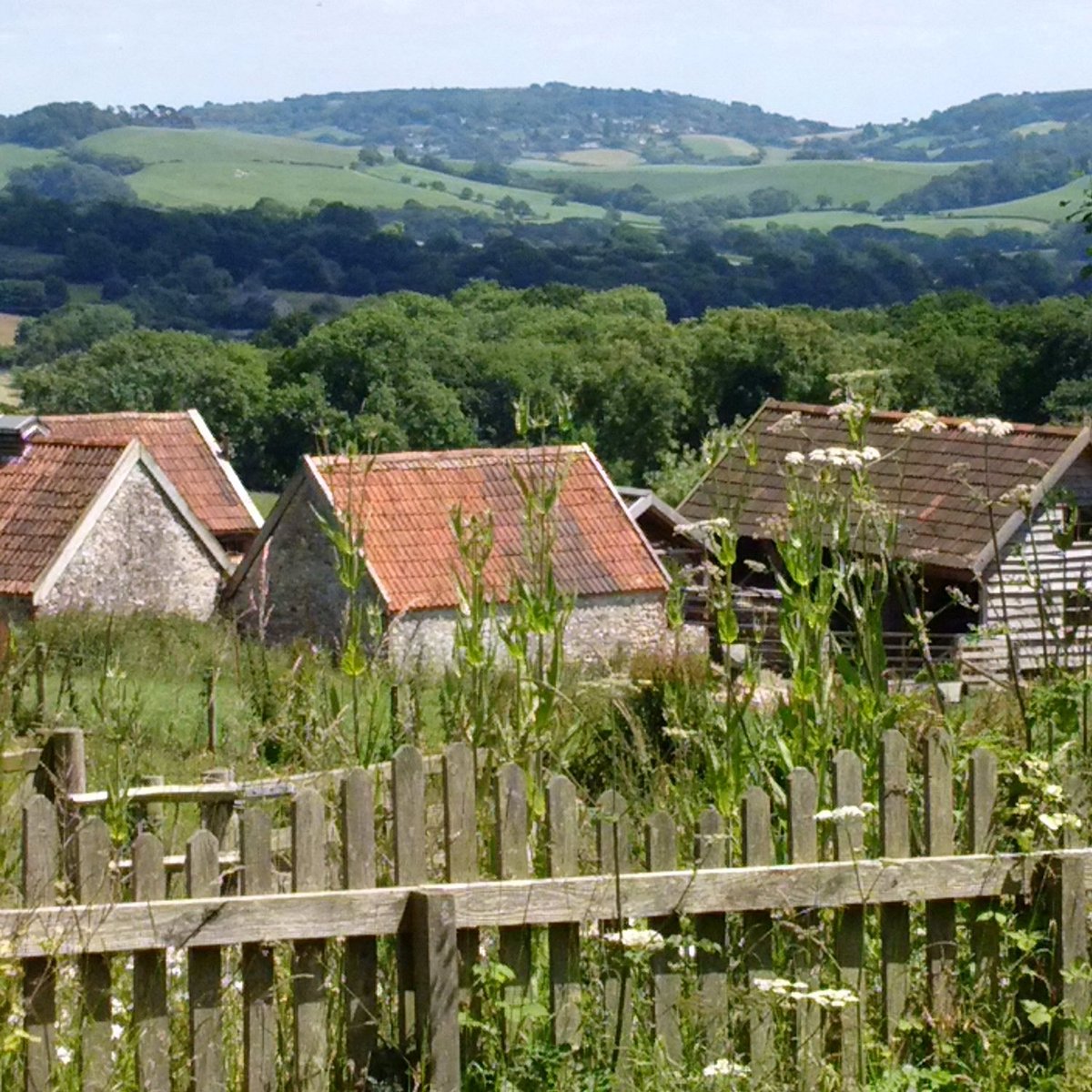 MONKTON WYLD COURT - B&B Reviews ...