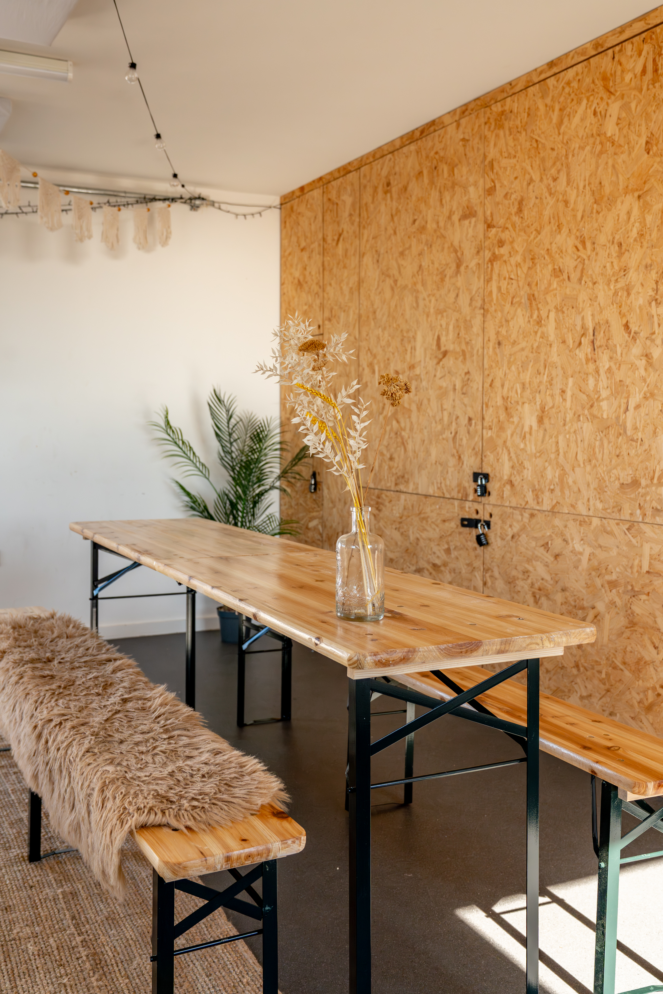 The Studio - pns5kpf5cvr.jpg