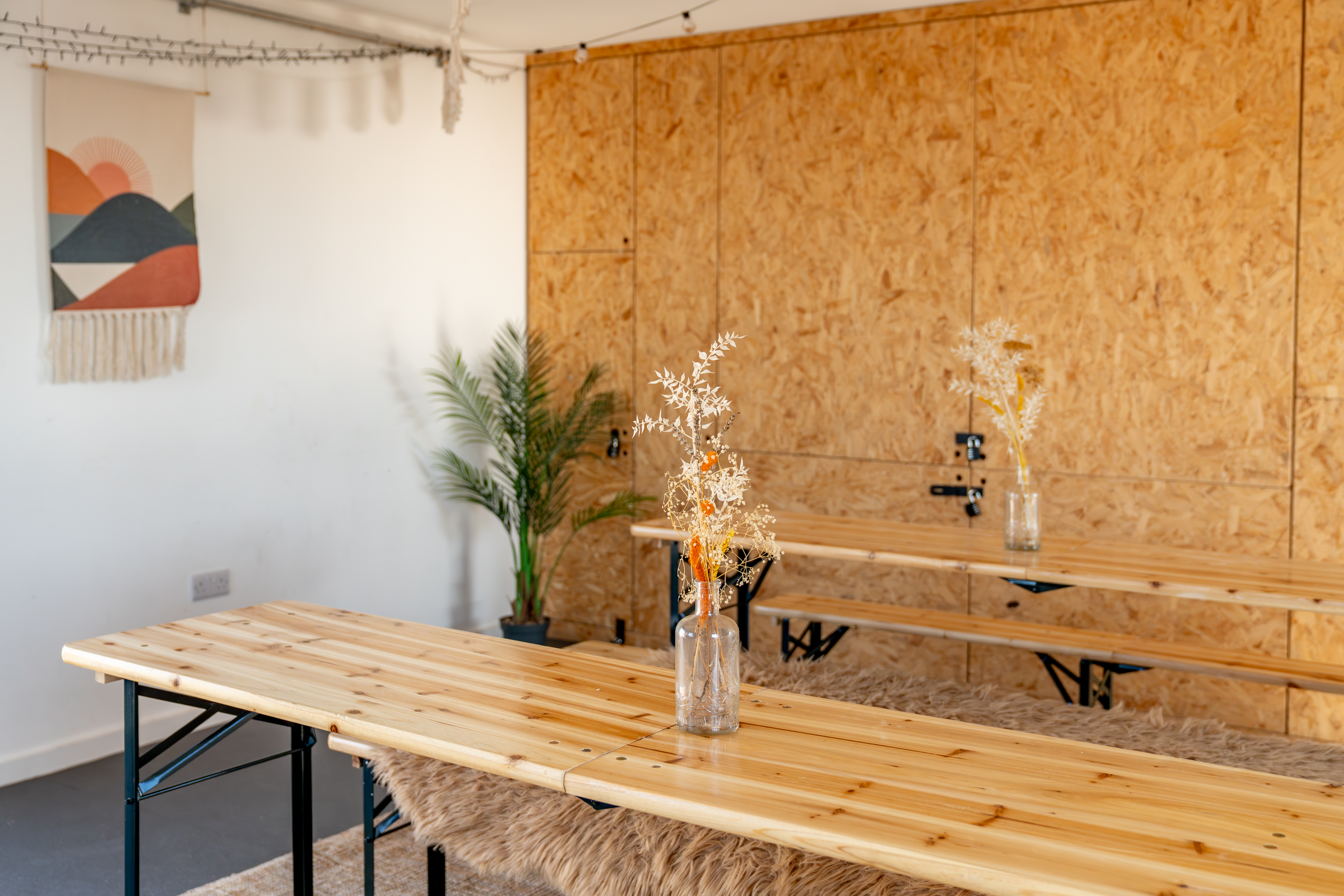 The Studio - ng0nehr4coo.jpg