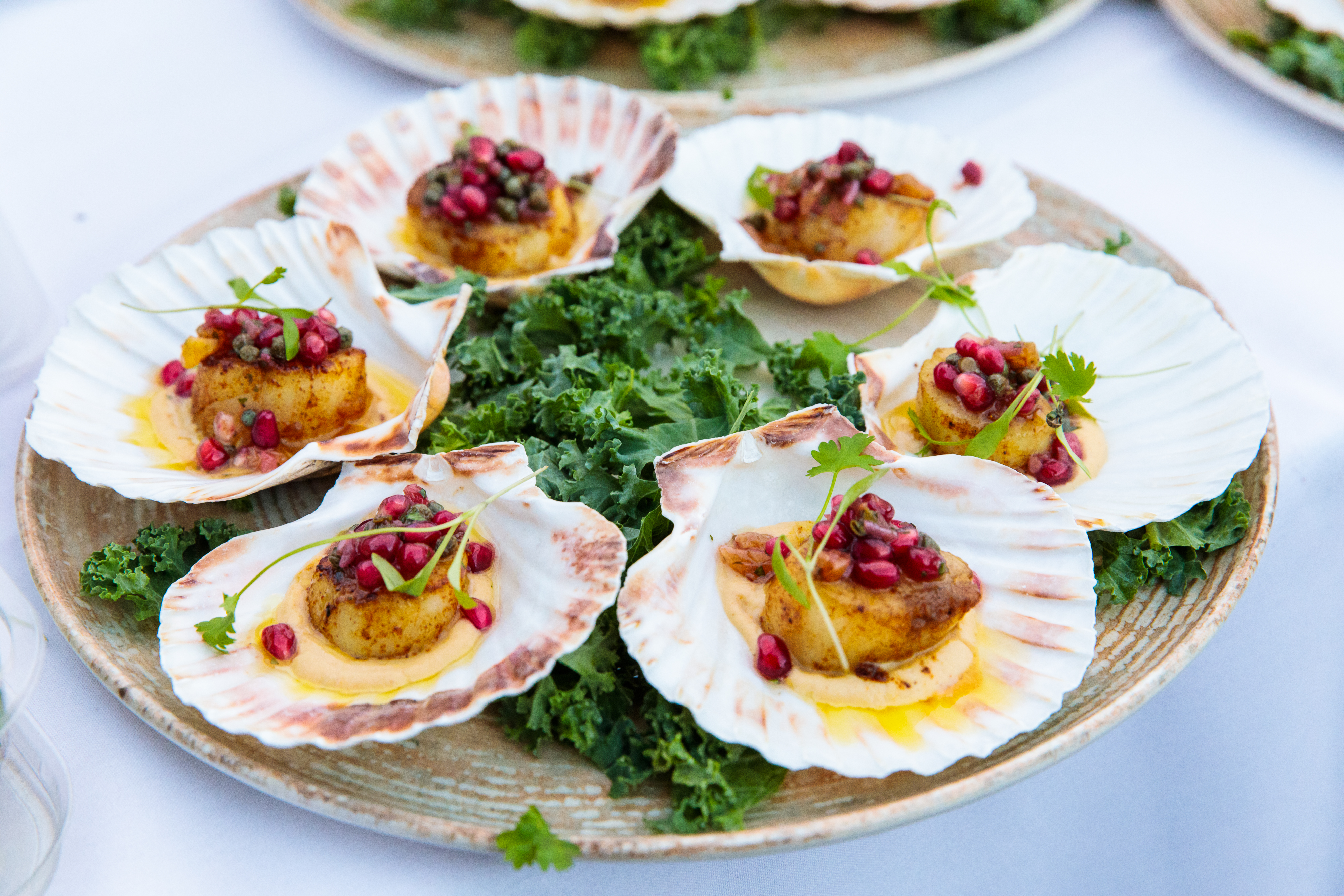 Elegant scallop appetizers on a platter for upscale summer rooftop events.