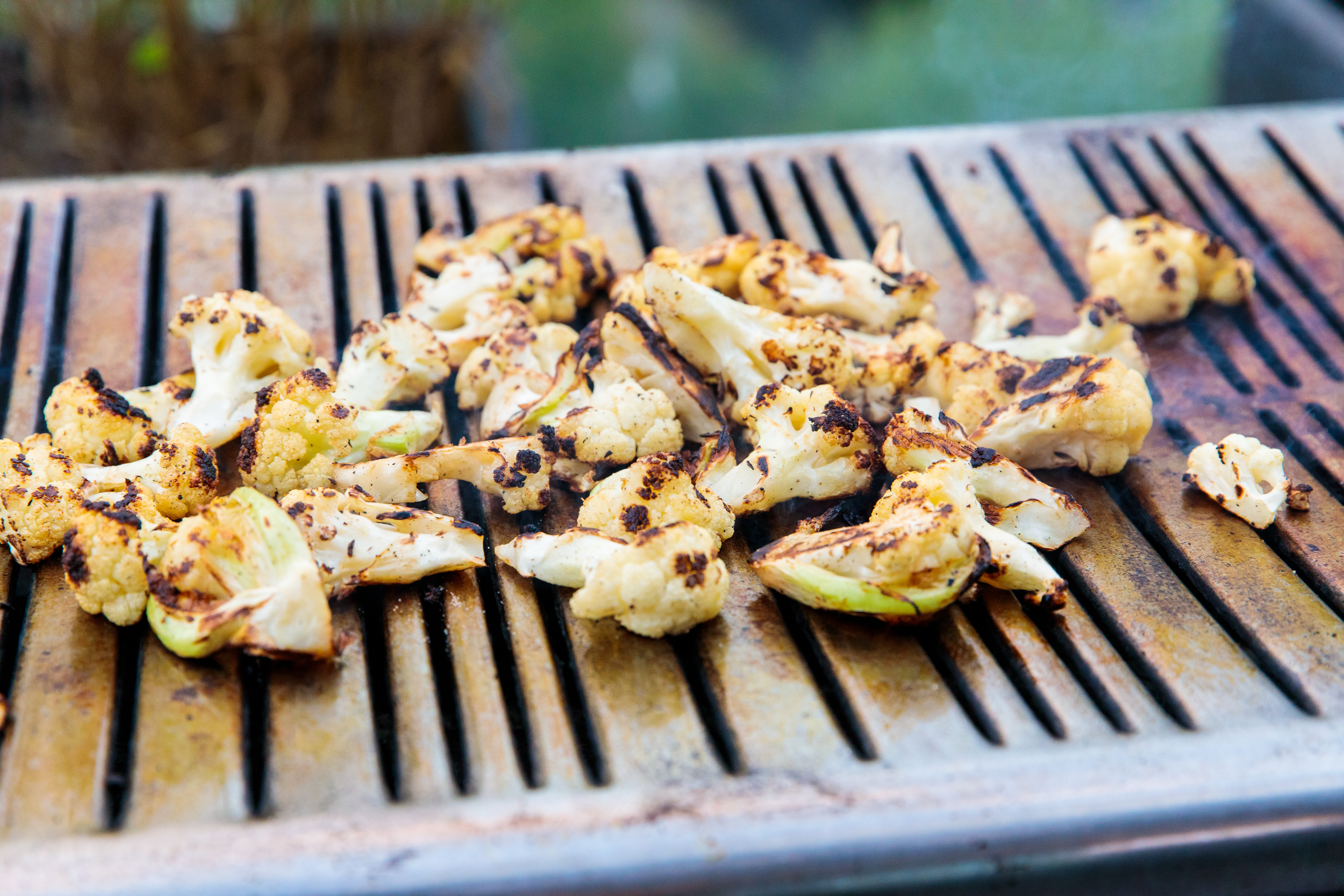 Grilled cauliflower dish at Summer Party Rooftop event, perfect for upscale catering.