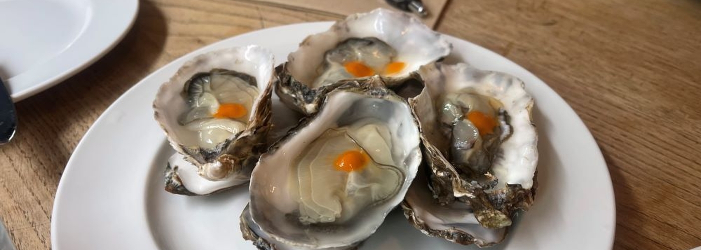 A real triumph' - Higher Ground ...