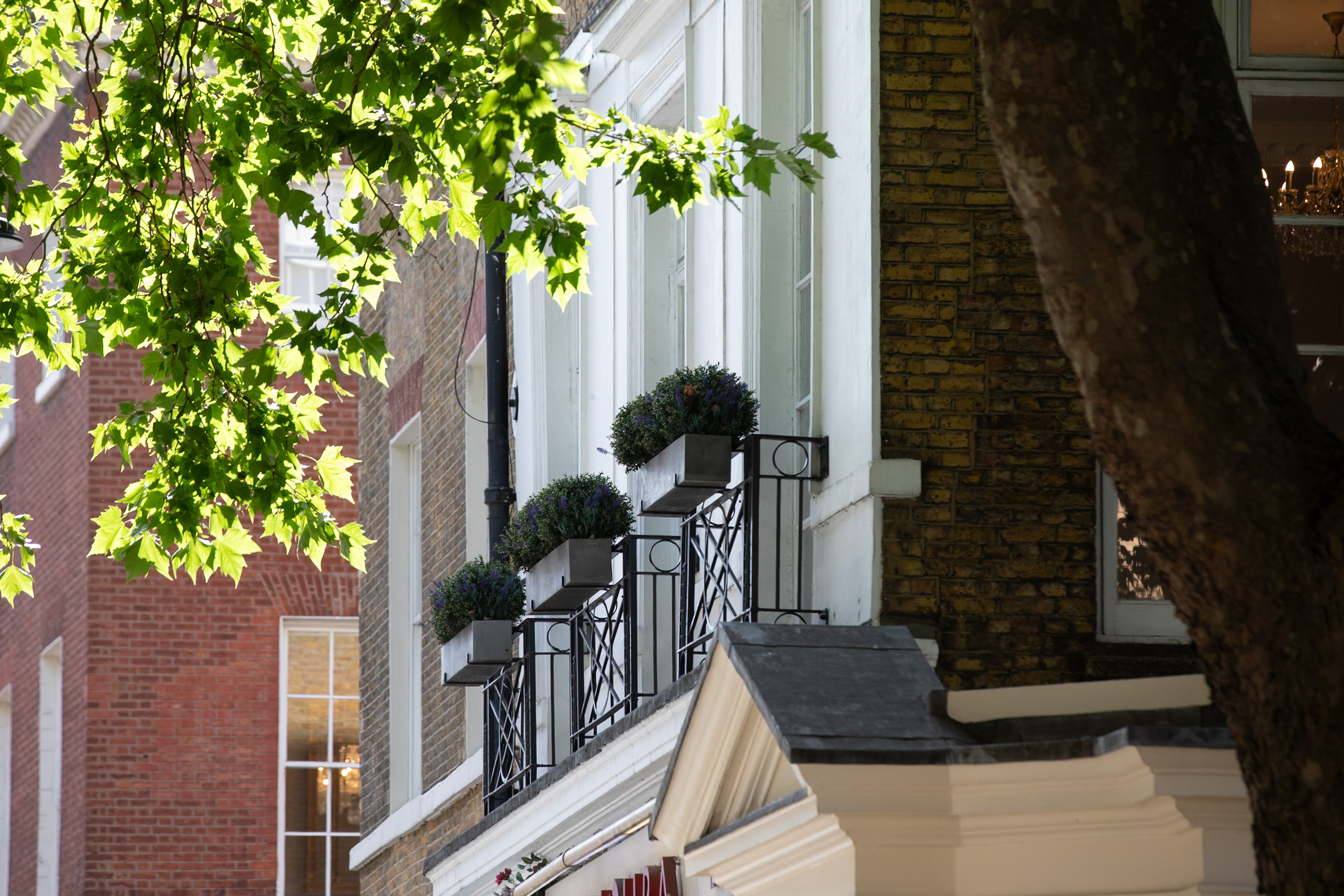 16 Curzon  - 1d55651f-d9cc-4e64-9a3d-2e26053b2001.jpg