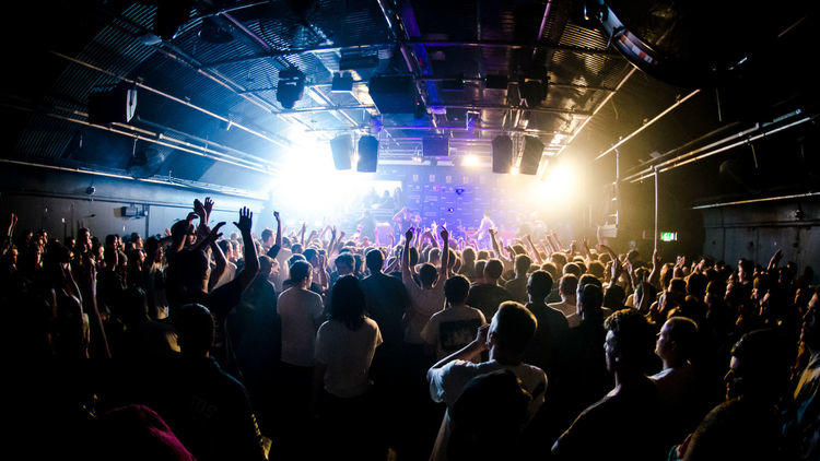 Gorilla live event with excited audience and dynamic lighting for memorable experiences.