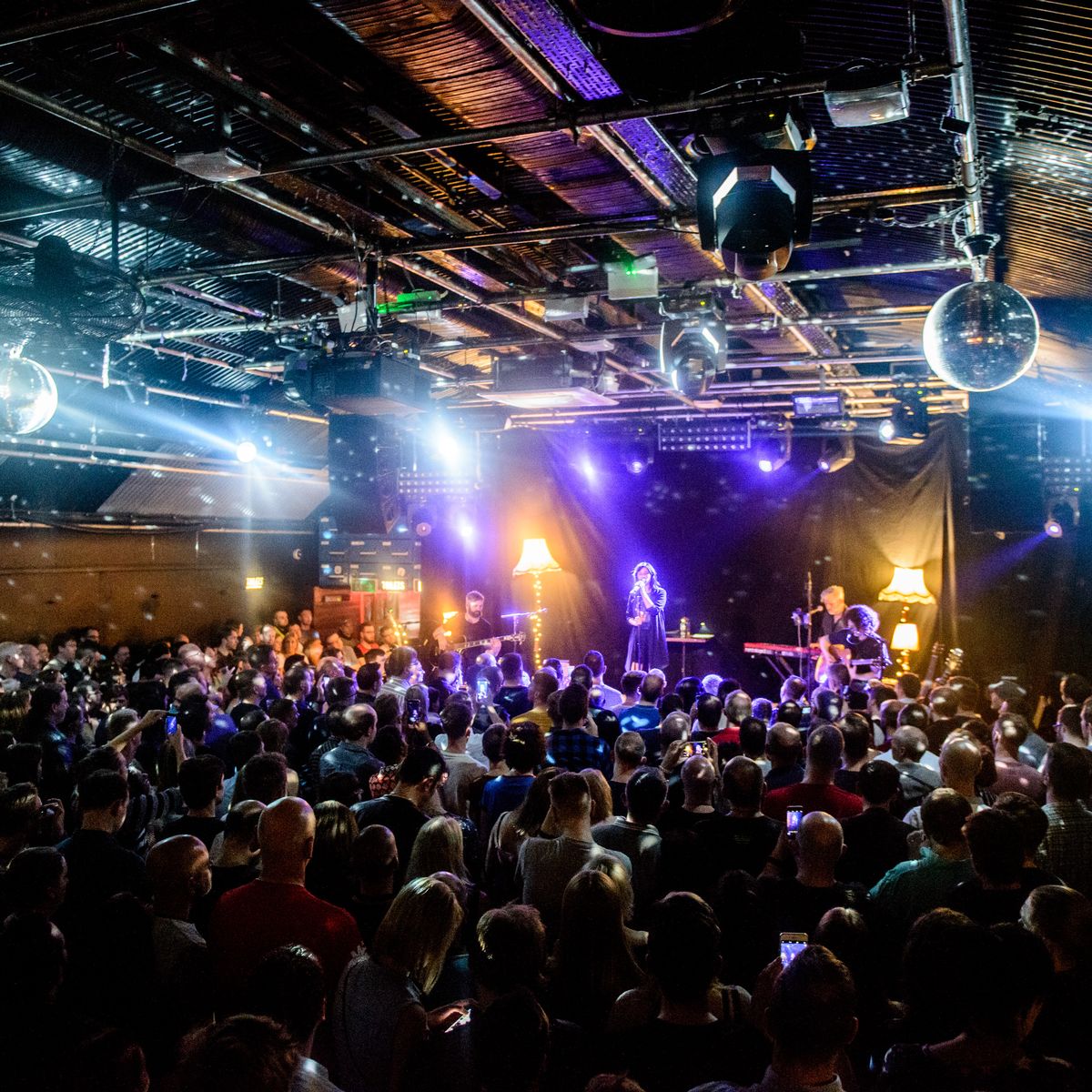 Gorilla live performance with vibrant lighting and engaged audience in intimate venue.