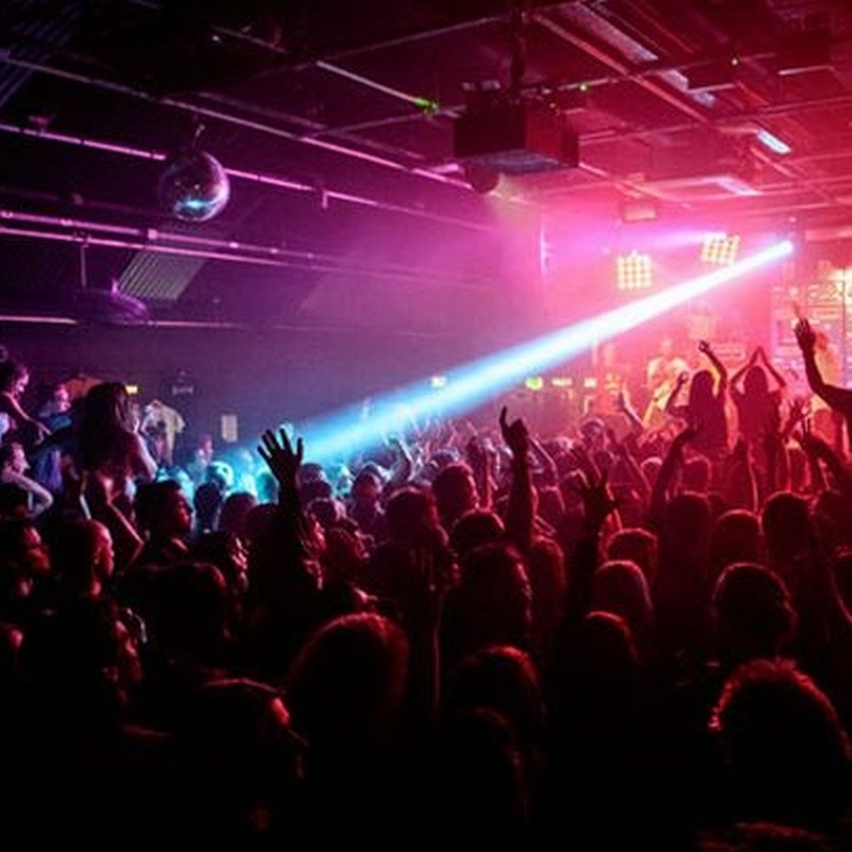 Gorilla remains closed after cancelling ...