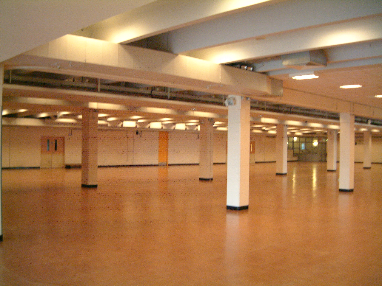 Esher Hall - afqj2qlpxlw.jpg