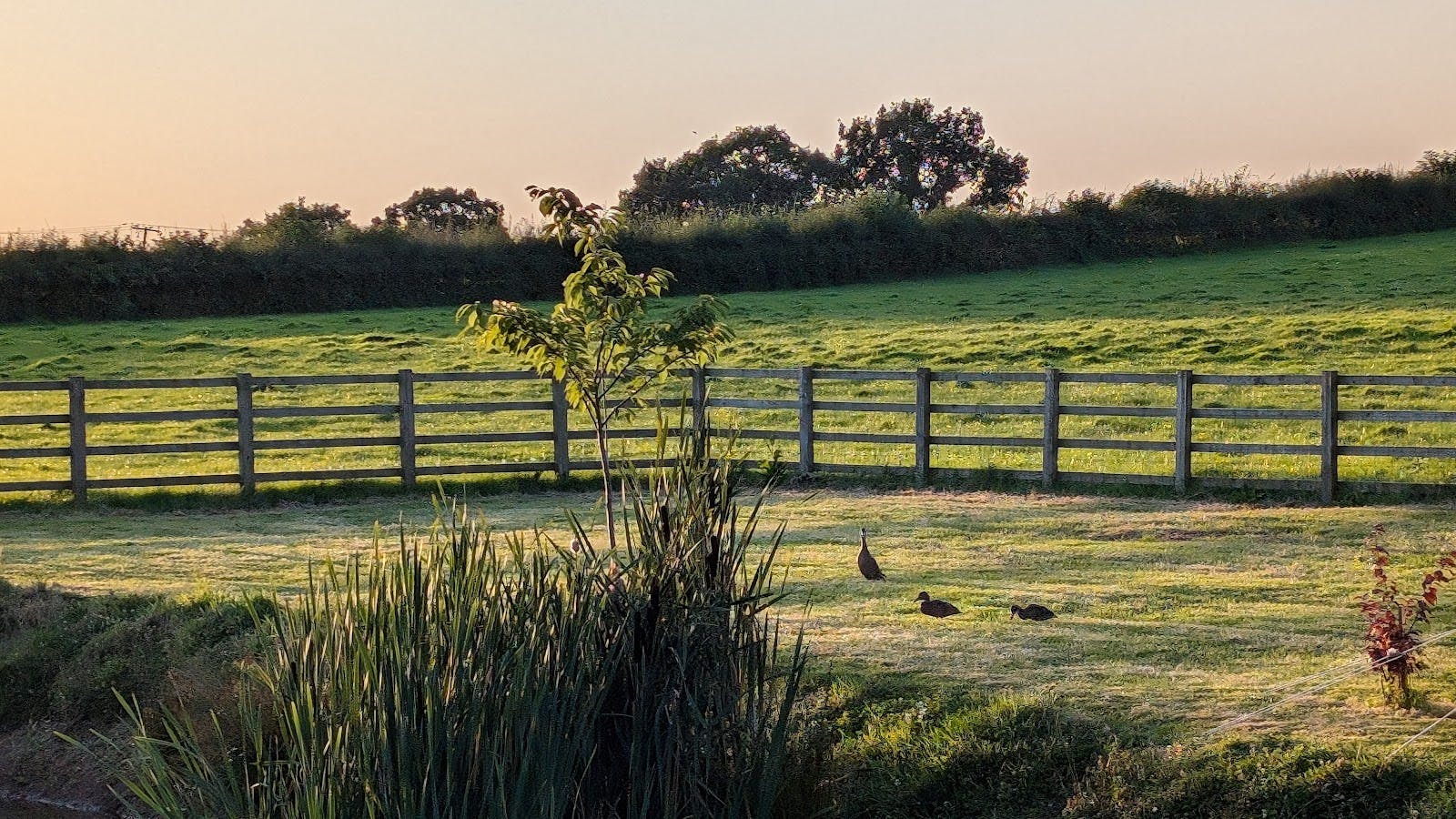 Far Coley Farm - >David Dabbs</a>