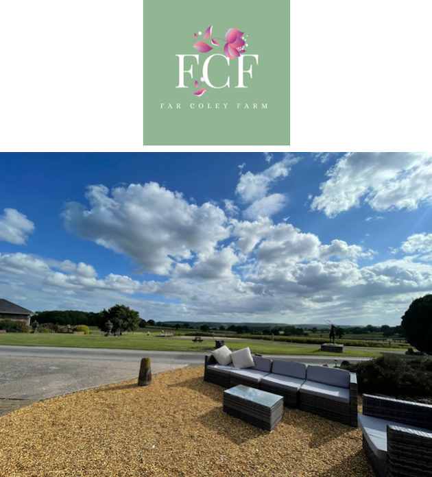 Accommodation and Hotels