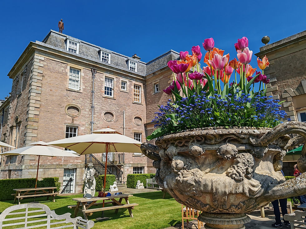 Marchmont House: A Celebration of Art ...