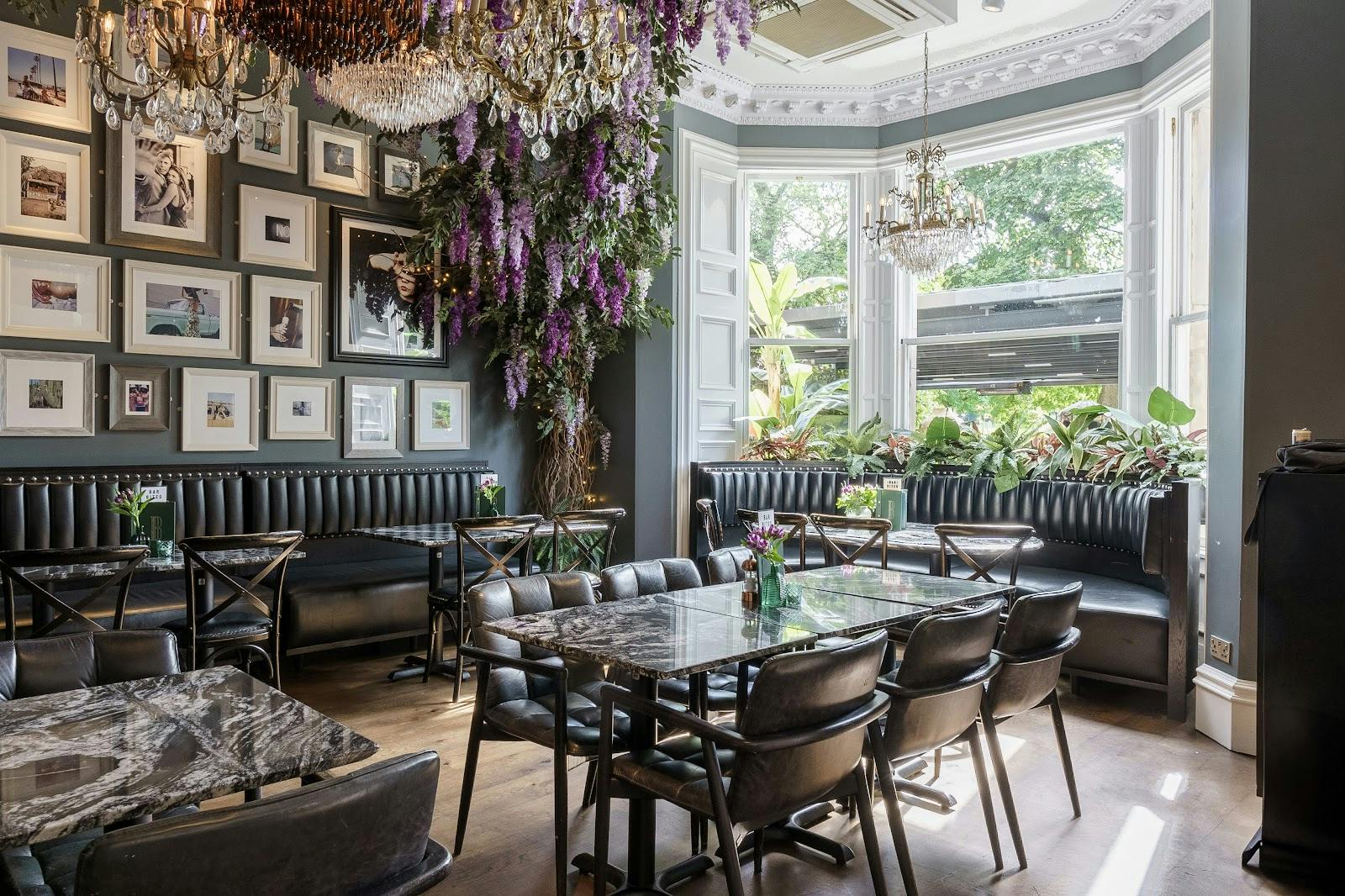 Black Ivy - >Black Ivy</a>